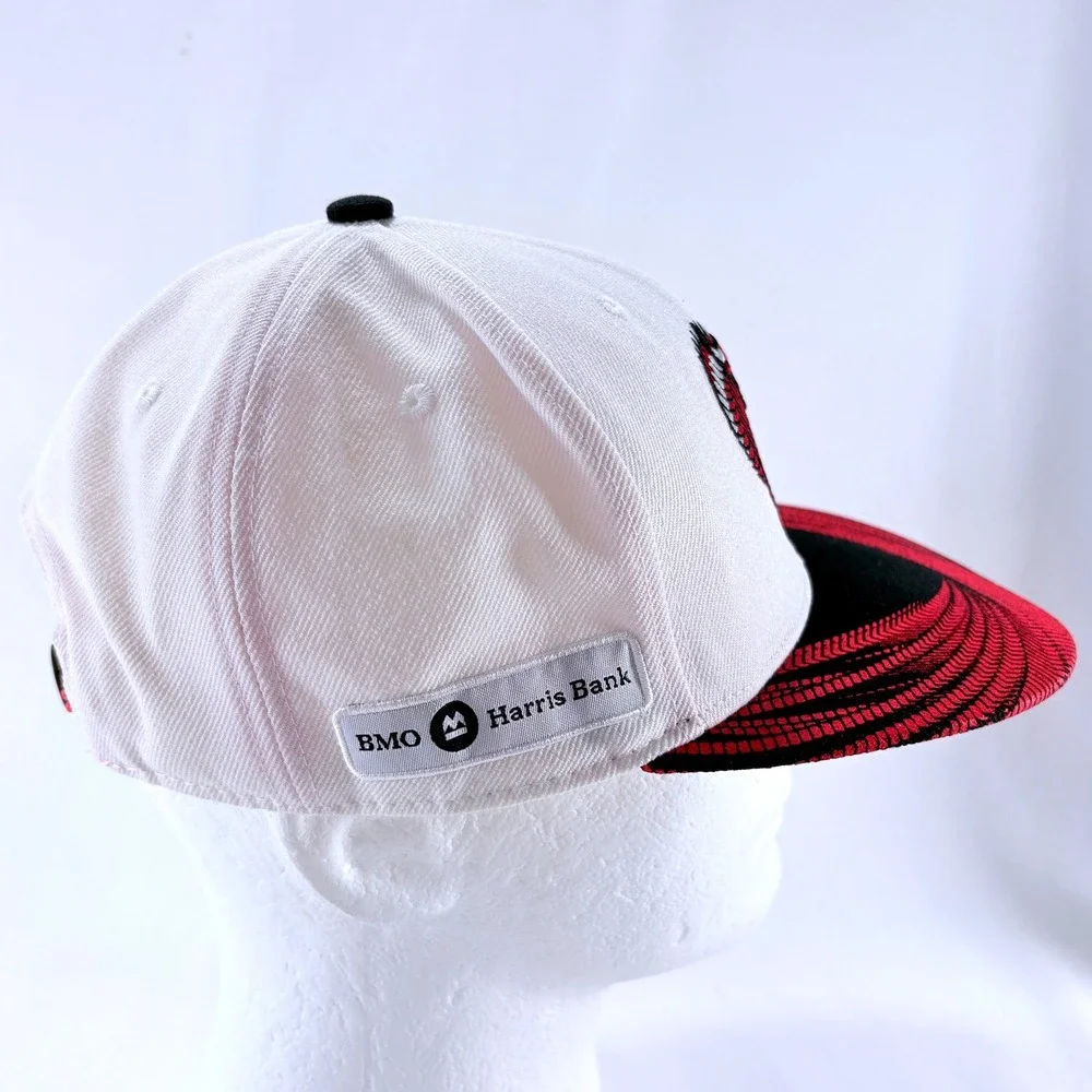 Melonwear NBA Chicago Bulls BMO Harris Artist Series Chuck Anderson Snapback Hat